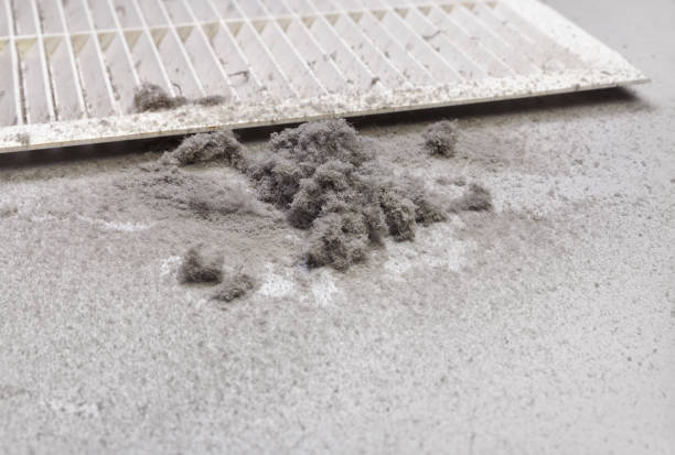 Best Best Air Duct Cleaning Company  in Everson, WA