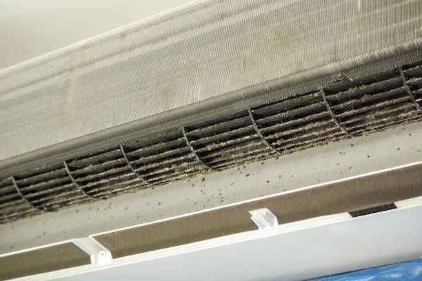 Best Home Air Vent Cleaning  in Everson, WA